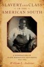 Slavery And Class In The American South - Preview
