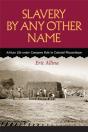 Slavery By Any Other Name - Preview