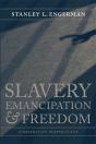 Slavery, Emancipation, And Freedom - Preview