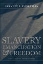 Slavery, Emancipation, And Freedom - Preview