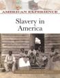 Slavery In America - Preview
