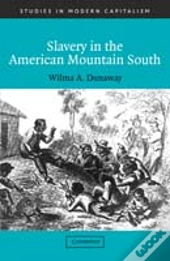 Slavery In The American Mountain South