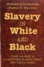 Slavery In White And Black - Preview