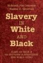 Slavery In White And Black - Preview