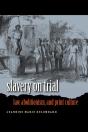 Slavery On Trial - Preview