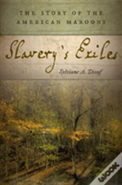 Capa do artigo Slavery