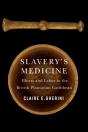 Slavery'S Medicine - Preview