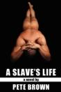Slaves Life - Preview