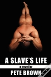 Capa do artigo Slaves Life