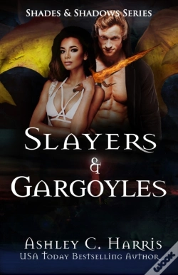 Capa do artigo Slayers And Gargoyles
