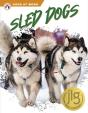 Sled Dogs - Preview