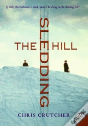 Capa do artigo Sledding Hill