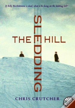 Capa do artigo Sledding Hill