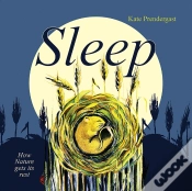 Capa do artigo Sleep
