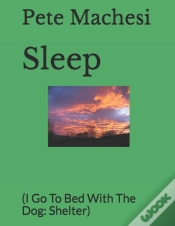 Capa do artigo Sleep