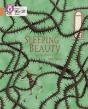 Sleeping Beauty - Preview