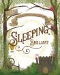 Sleeping Brilliant - Preview