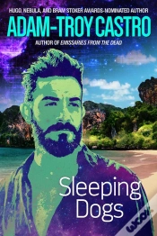 Capa do artigo Sleeping Dogs