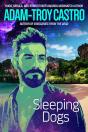 Sleeping Dogs - Preview