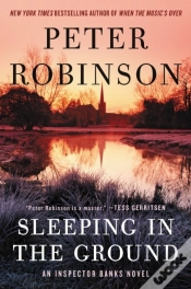 Capa do artigo Sleeping In The Ground
