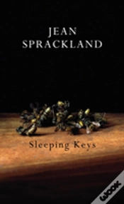 Capa do artigo Sleeping Keys