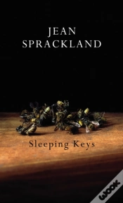 Capa do artigo Sleeping Keys