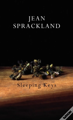 Capa do artigo Sleeping Keys