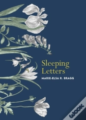 Capa do artigo Sleeping Letters