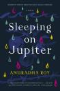 Sleeping On Jupiter - Preview