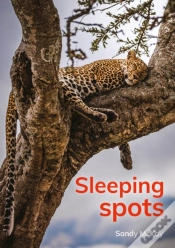 Capa do artigo Sleeping Spots