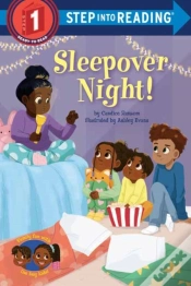 Capa do artigo Sleepover Night!