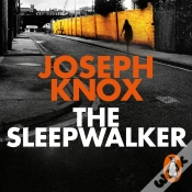 Capa do artigo Sleepwalker