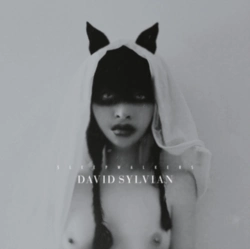 Capa do artigo Sleepwalkers - CD