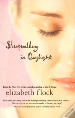 Capa do artigo Sleepwalking In Daylight