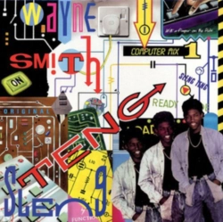 Capa do artigo Sleng Teng - Vinil
