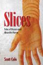 Slices - Preview