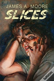 Capa do artigo Slices