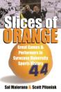 Slices Of Orange - Preview
