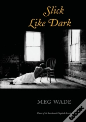 Capa do artigo Slick Like Dark