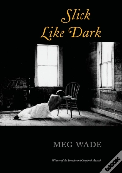 Capa do artigo Slick Like Dark