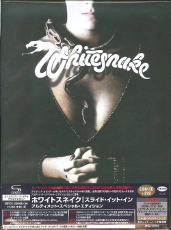 Capa do artigo Slide It In - CD