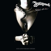 Capa do artigo Slide It In - Vinil