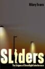 Sliders: The Enigma Of Streetlight Inter - Preview