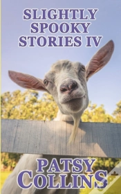 Capa do artigo Slightly Spooky Stories Iv