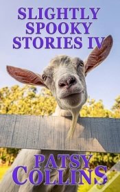 Capa do artigo Slightly Spooky Stories Iv