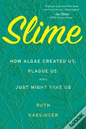 Capa do artigo Slime
