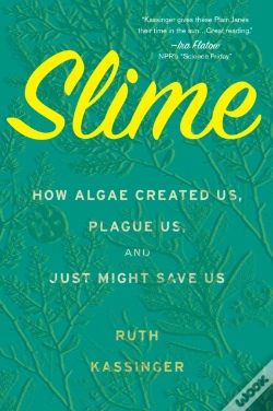 Capa do artigo Slime