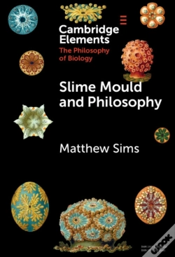 Capa do artigo Slime Mould And Philosophy