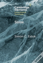 Capa do artigo Slime