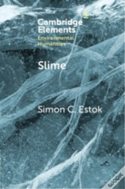Capa do artigo Slime